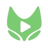 黄色视频软件下载APP应用